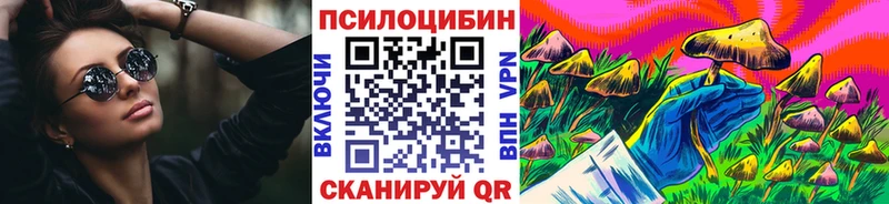 Псилоцибиновые грибы Psilocybine cubensis  Мензелинск 